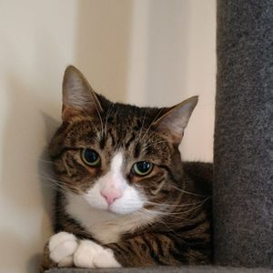 Meet your Posher, Ann